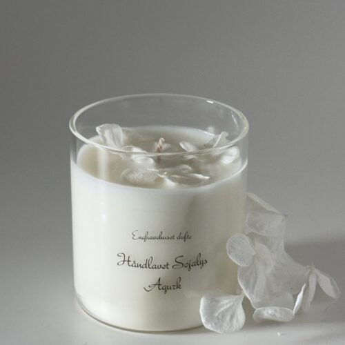 Duftlys agurk - med hvide hortensia