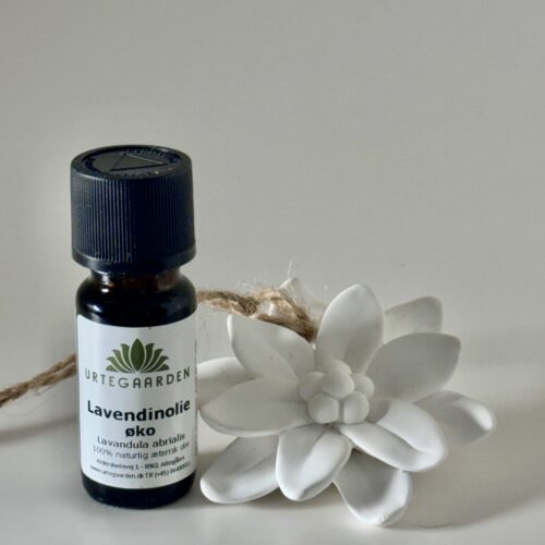 Lotus blomst med lavendelolie