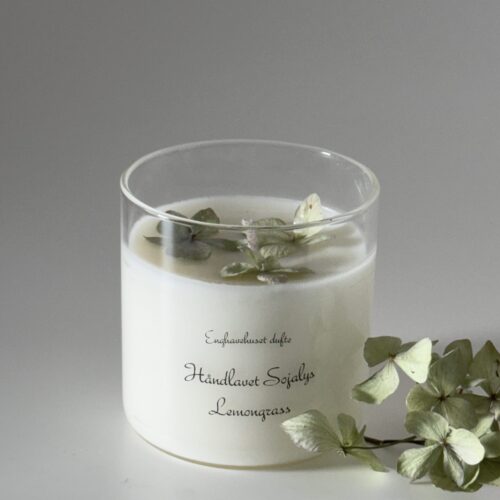 Duftlys lemongrass  med lysegrønne hortensia