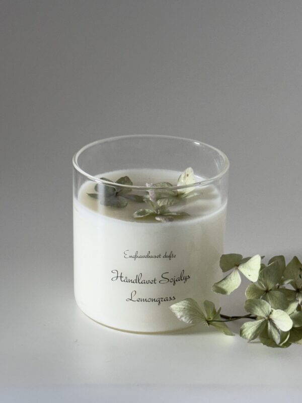 Duftlys lemongrass  med lysegrønne hortensia
