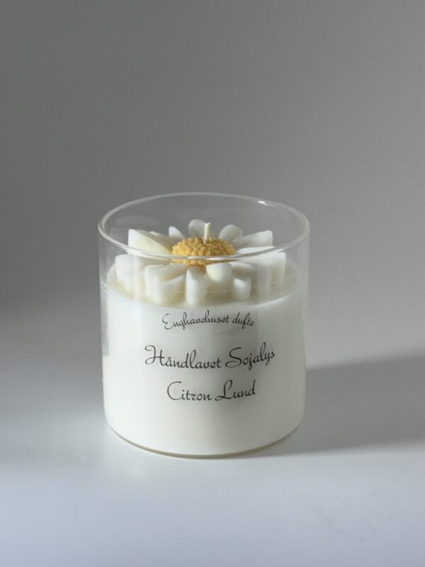 Duftlys Daisy – citronlund