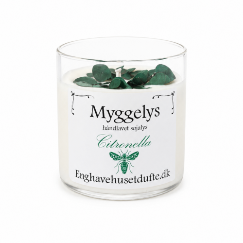 Duftlys - myggelys -  små grønne hortensia