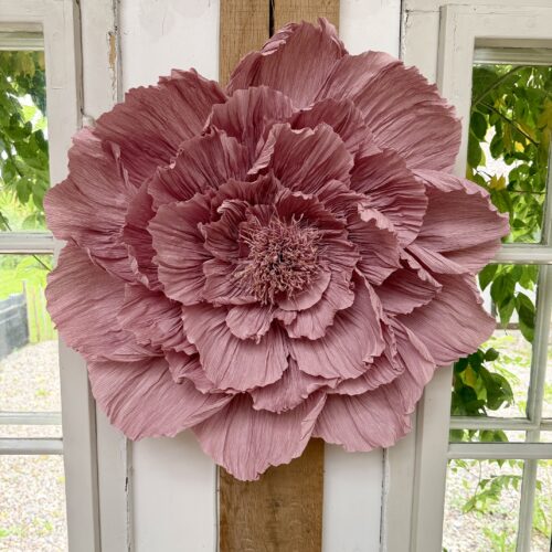 Blomst Rosa